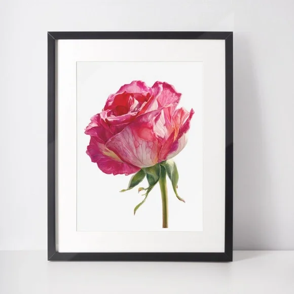 Watercolor Single Pink Rose Wall Art Print, Unframed - Delicate Floral Elegance - Picture 3 of 6